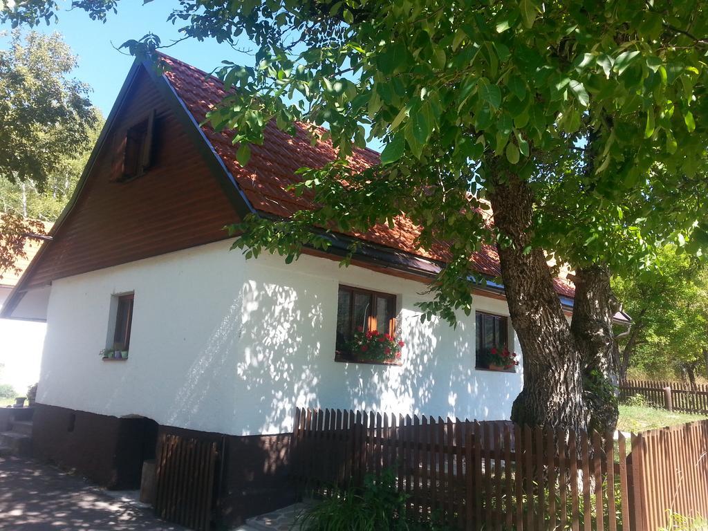 Holiday Home Rizvan City Brusane Eksteriør bilde